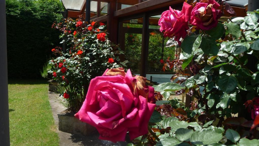 Logis La Rose Des Vents Otel Volvic Dış mekan fotoğraf